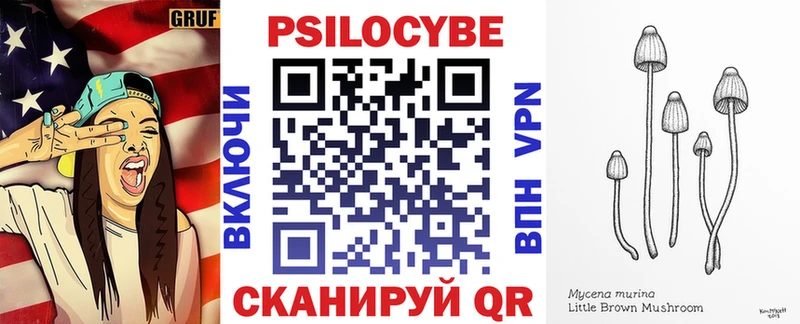 Галлюциногенные грибы мухоморы  как найти наркотики  Луза 